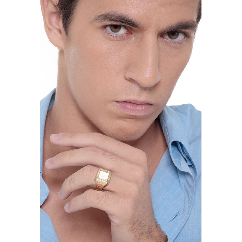 Anillo sello hombre Oro Amarillo 18k