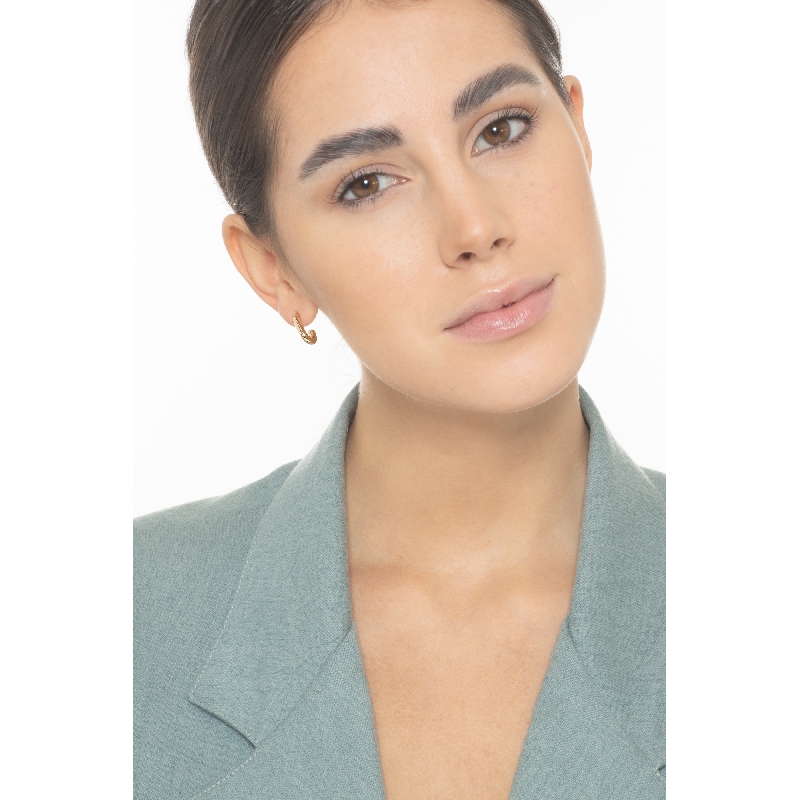 Pendientes de gancho en oro amarillo 18k Pendientes de gancho en oro amarillo 18k