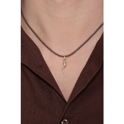 Colgante cuerno porta fortuna en oro amarillo 18K