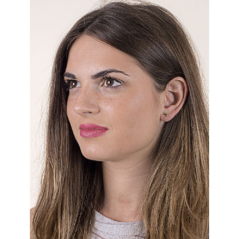 Pendientes en Oro Amarillo 18k con Forma de Delfín